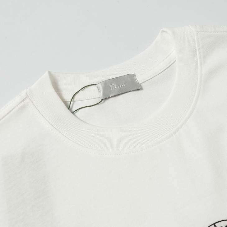 Dior T Shirts Short _SKUDiorS-2XL3xtx257616116